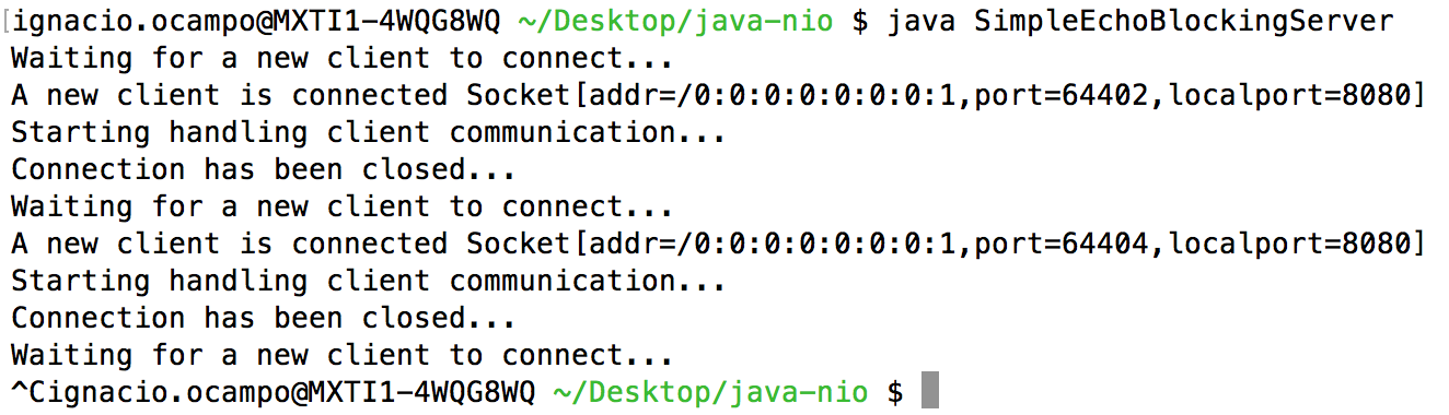 SimpleEchoBlockingServer-demo1