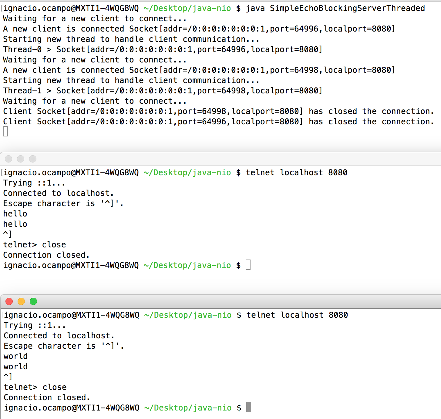 SimpleEchoBlockingServerThreaded-demo1
